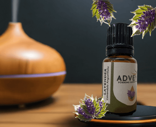 Lavender Essential Oil