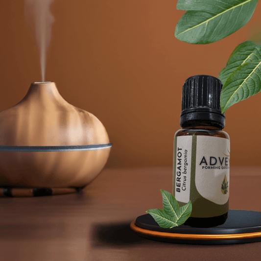 Bergamot Essential Oil